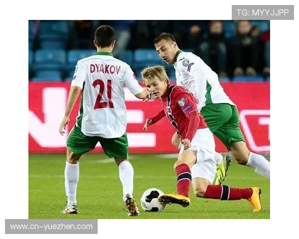 奥德加德心理素质